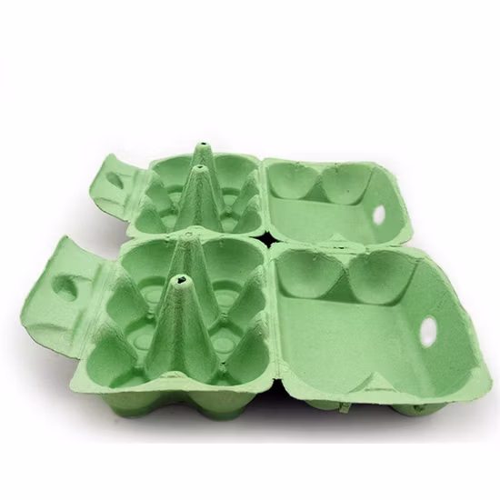 Pâte à papier de ferme vintage colorée compostable, cartons d'œufs en paquet de 12 douzaines