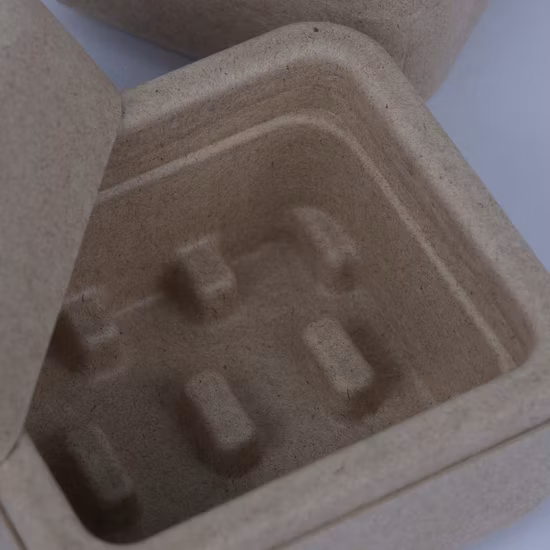 Bac à papier de presse humide de canne à sucre en bambou fait sur commande écologique