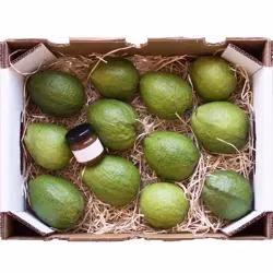 Cartons d'emballage de banane de boîte d'expédition de fruit imprimés par couleur de double mur